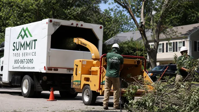Myth: Tree Service Bookkeeping Can Wait Until Tax Time