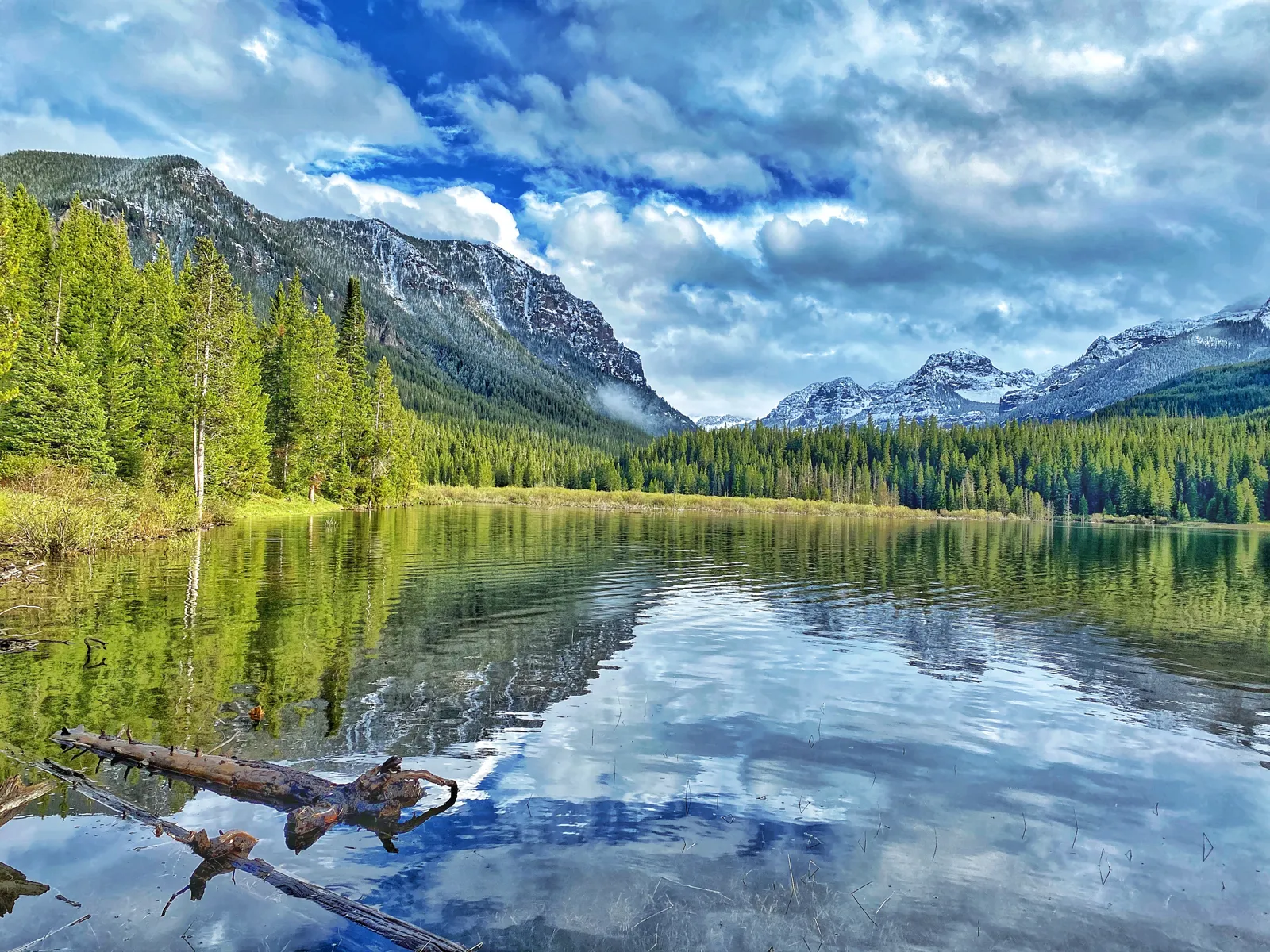 A calm mountain lake reflecting evergreen forest and snowy Montana peaks